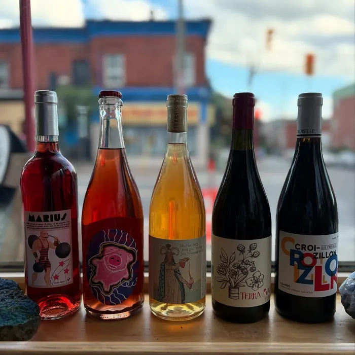 Five wine bottles lined up in the bar window